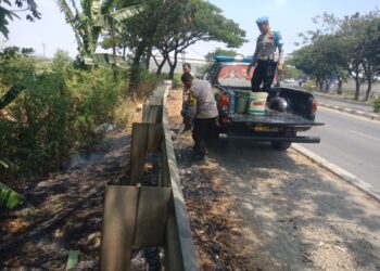Kebakaran Rumput, Polisi Turun Padamkan Api