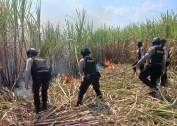 Kebakaran Lahan Tebu, Kapolres Kudus Kerahkan Personil Untuk Padamkan Api
