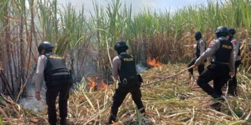 Kebakaran Lahan Tebu, Kapolres Kudus Kerahkan Personil Untuk Padamkan Api