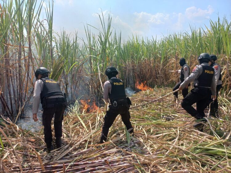 Kebakaran Lahan Tebu, Kapolres Kudus Kerahkan Personil Untuk Padamkan Api