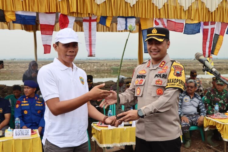Penanaman Mangrove di Pantai Bulumanis Kidul