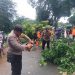 Kerugian Rp. 10 Juta Akibat Hujan Lebat dan Angin Kencang