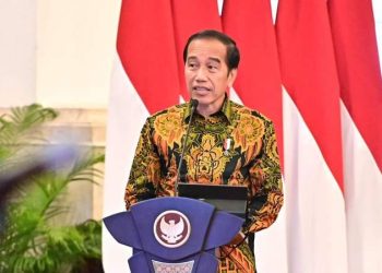 Indonesia Naik Secara Internasional, Presiden RI sebut Daya Saing Dunia