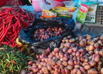 Fluktuasi Harga Sembako dan Sayuran di Pati