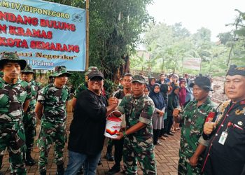 Sentra Budidaya Lalat BSF, Kini Inisiatif Lingkungan