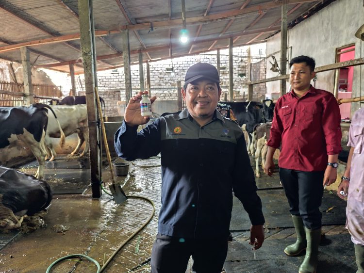 Wabah PMK Merebak di Pati, 108 Ternak Mati