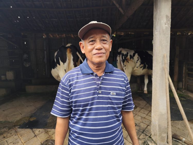 Tanggulangi Wabah PMK dengan Vaksinasi Massal