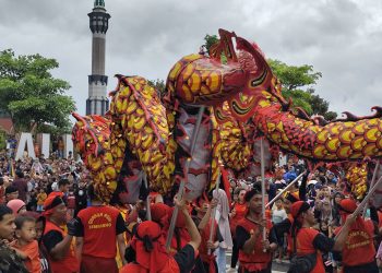 Kirab Budaya Imlek Pati, Simbol Ular Kayu