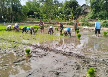 Kodim 0718/Pati Siap Dukung Petani di Musim Kemarau