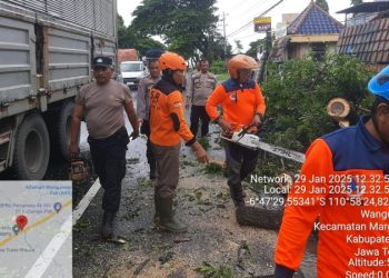 Hujan dan Angin Kencang, Pohon Tumbang Ganggu Lalu Lintas di Pati