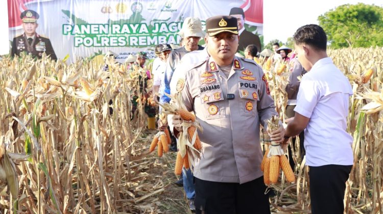 Polres Rembang Sukses Panen Jagung, Dorong Kesejahteraan Petani