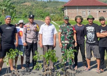 H. Hardi Tanam 400 Pohon Tabebuya di Kawasan Gua Pancur