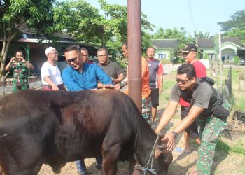 5 Kambing – 1 Sapi di Kurbankan, TNI dan Warga Eratkan Kepedulian Sosial