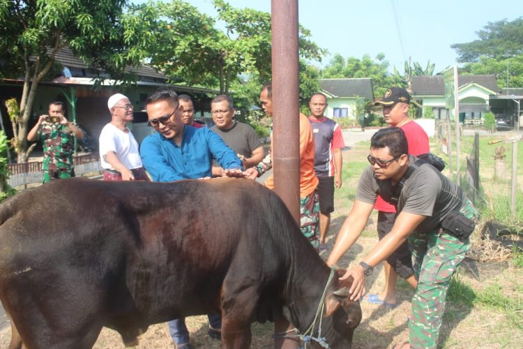 5 Kambing – 1 Sapi di Kurbankan, TNI dan Warga Eratkan Kepedulian Sosial