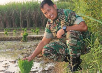 Sukoharjo Jadi Pionir Penerapan Mikroba Hayati