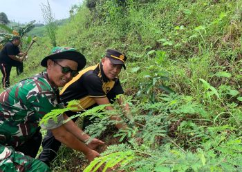 Gerakan Penghijauan, AKP Parsa Tanam 115 Bibit di Wilayah Alas Jurang Nganten