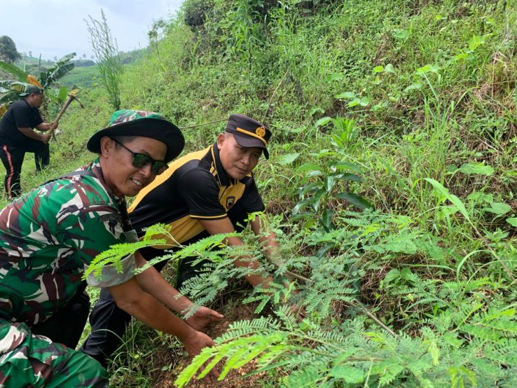 Gerakan Penghijauan, AKP Parsa Tanam 115 Bibit di Wilayah Alas Jurang Nganten