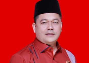 Komando Ali Badrudin, PDIP Pati Catat Prestasi Politik Signifikan