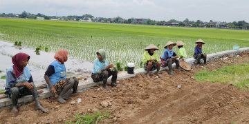 Pemdes Dengkek Buktikan Komitmen Mutu Pembangunan, Proyek Drainase Banprov Rp 200 Juta Kini Lebih Berkualitas