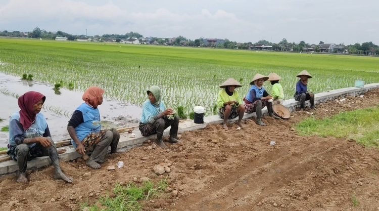 Pemdes Dengkek Buktikan Komitmen Mutu Pembangunan, Proyek Talud Banprov Rp 200 Juta Kini Lebih Berkualitas