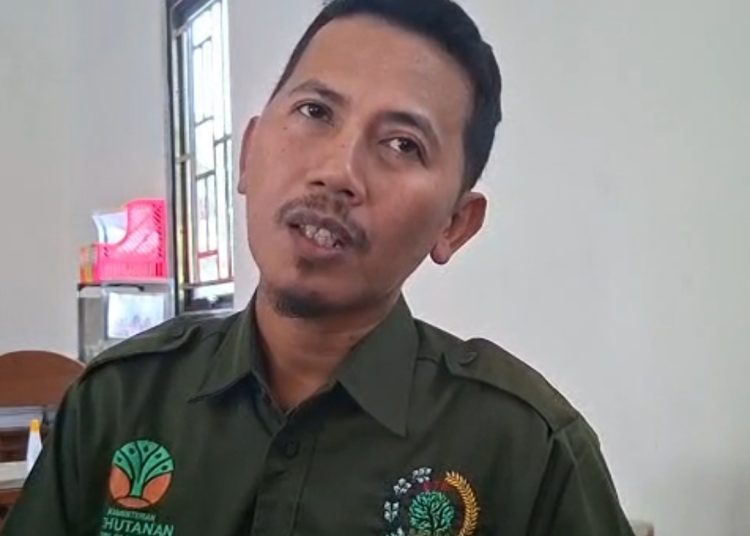 KDMP Jadi Polemik, Kades Sukobubuk Minta Maaf ke Warga