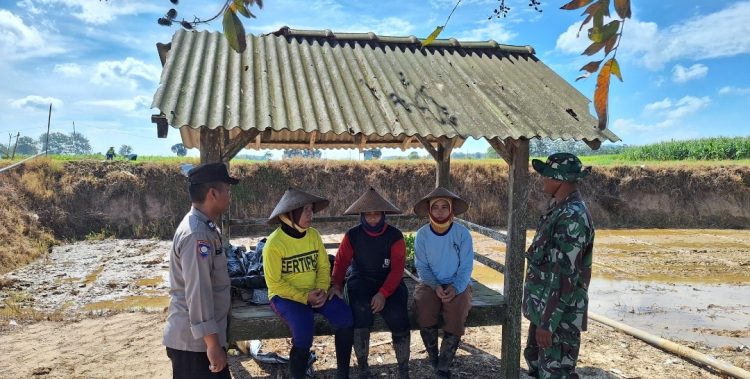 Polisi – TNI Turun Langsung ke Warga, Gotong Royong Kian Kuat