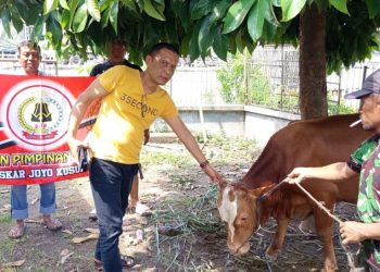 Idul Adha Jadi Ajang Kepedulian Sosial, Ketum LSM LJK Berbagi Daging Qurban