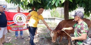 Idul Adha Jadi Ajang Kepedulian Sosial, Ketum LSM LJK Berbagi Daging Qurban