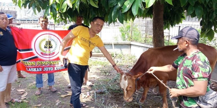 Idul Adha Jadi Ajang Kepedulian Sosial, Ketum LSM LJK Berbagi Daging Qurban