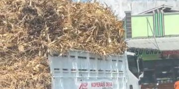Bantuan Presiden RI Disalahgunakan, Truk KDMP Angkut Klobot Jagung