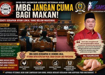 Peternak Ayam Pati Mengadu, Ketua DPRD Serapan MBG