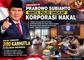 Pesan Tegas Presiden RI soal Karhutla, Korporasi Terbukti Bersalah Harus Diproses