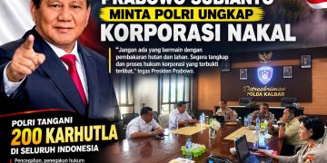 Pesan Tegas Presiden RI soal Karhutla, Korporasi Terbukti Bersalah Harus Diproses