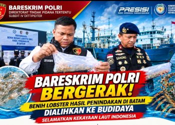 Dittipidter Bareskrim Polri Selamatkan Kekayaan Laut Indonesia