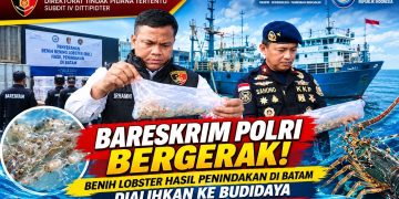 Dittipidter Bareskrim Polri Selamatkan Kekayaan Laut Indonesia