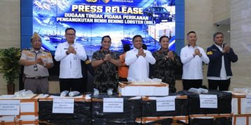 13 Boks Benih Lobster Diamankan di Depok, Siapa di Balik Jalur Pengiriman?